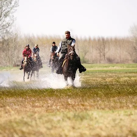 Homoki Bed & Beyond Glamping Adult Only 4*