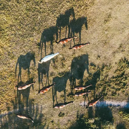 Homoki Bed & Beyond Glamping Adult Only 4*