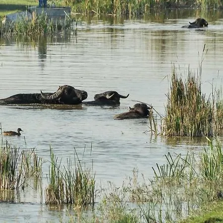 Homoki Bed & Beyond Glamping Adult Only Resort Ruzsa