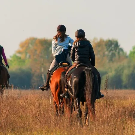 Homoki Bed & Beyond Glamping Adult Only Ośrodek wypoczynkowy