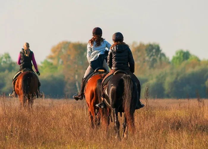 Homoki Bed & Beyond Glamping Adult Only Station touristique